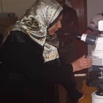 الصورة الشخصية (صغيرة)