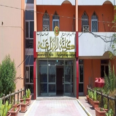 بشائر