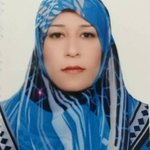 الصورة الشخصية (صغيرة)