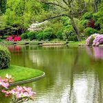 الصورة الشخصية (صغيرة)