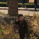 الصورة الشخصية (صغيرة)