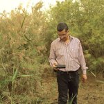 الصورة الشخصية (صغيرة)