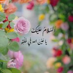 الصورة الشخصية (صغيرة)