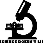 الصورة الشخصية (صغيرة)