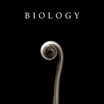 الصورة الشخصية (صغيرة)