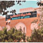 الصورة الشخصية (صغيرة)