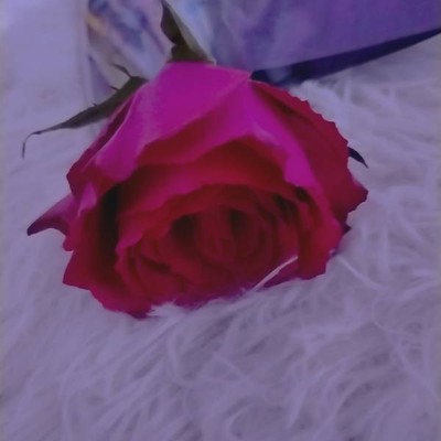 مروه