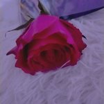 الصورة الشخصية (صغيرة)