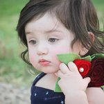 الصورة الشخصية (صغيرة)