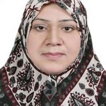 الصورة الشخصية (صغيرة)