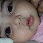 الصورة الشخصية (صغيرة)