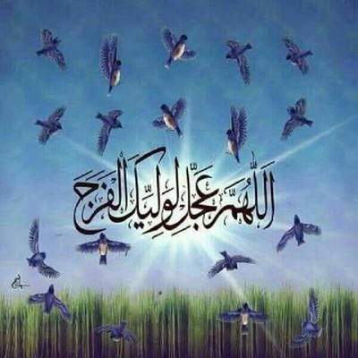 رشا 