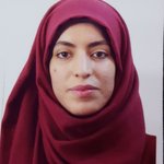 الصورة الشخصية (صغيرة)