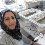 الصورة الشخصية (صغيرة)