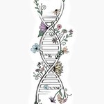 الصورة الشخصية (صغيرة)