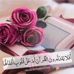 الصورة الشخصية (صغيرة)