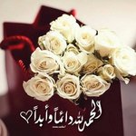 الصورة الشخصية (صغيرة)