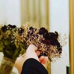الصورة الشخصية (صغيرة)
