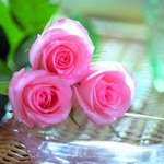 الصورة الشخصية (صغيرة)